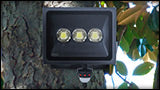 Outdoor Security Lighting